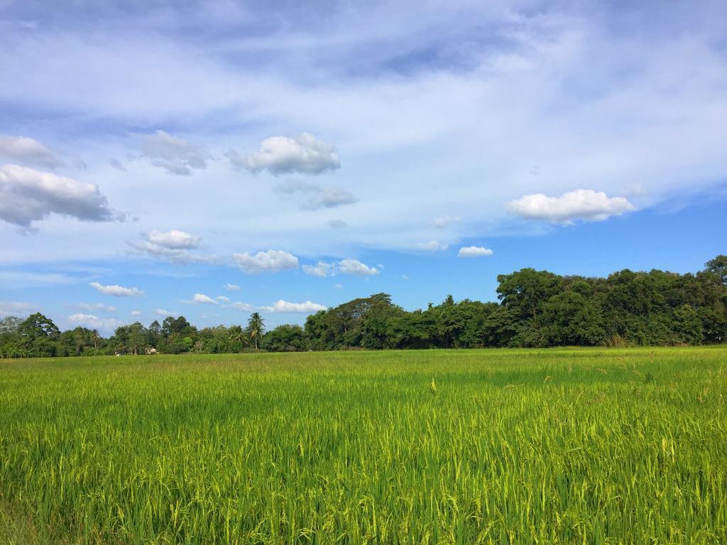 Kejora Homestay Kangar Esterno foto